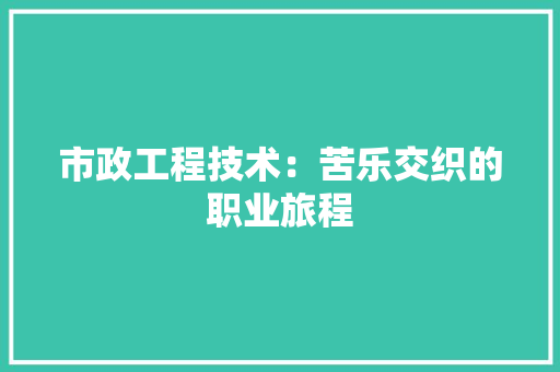 市政工程技术：苦乐交织的职业旅程