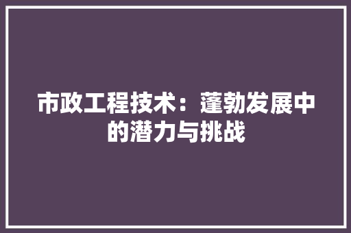 市政工程技术：蓬勃发展中的潜力与挑战