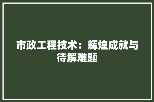 市政工程技术：辉煌成就与待解难题 中式风格装饰