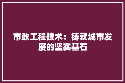 市政工程技术：铸就城市发展的坚实基石 中式风格装饰