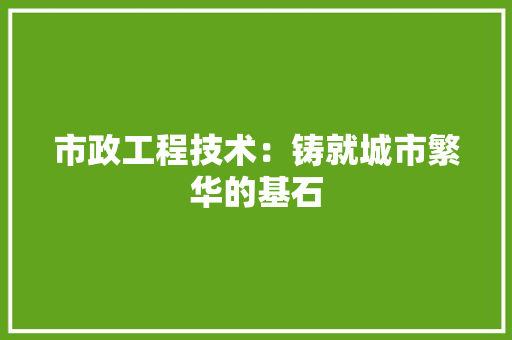 市政工程技术：铸就城市繁华的基石