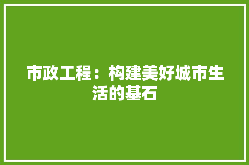 市政工程：构建美好城市生活的基石