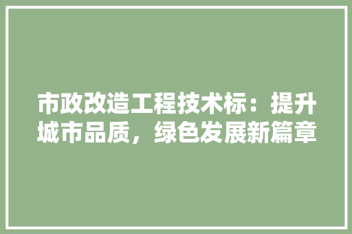 市政改造工程技术标：提升城市品质，绿色发展新篇章 中式风格装饰