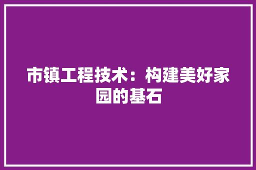 市镇工程技术：构建美好家园的基石 中式风格装饰