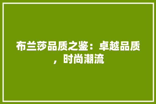 布兰莎品质之鉴：卓越品质，时尚潮流 中式风格装饰