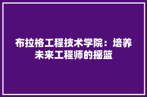 布拉格工程技术学院：培养未来工程师的摇篮