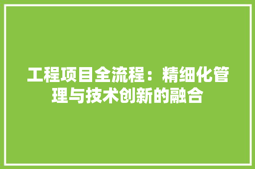 工程项目全流程：精细化管理与技术创新的融合 中式风格装饰