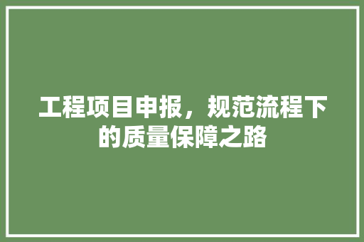 工程项目申报，规范流程下的质量保障之路 中式风格装饰