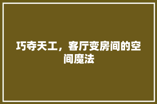 巧夺天工，客厅变房间的空间魔法
