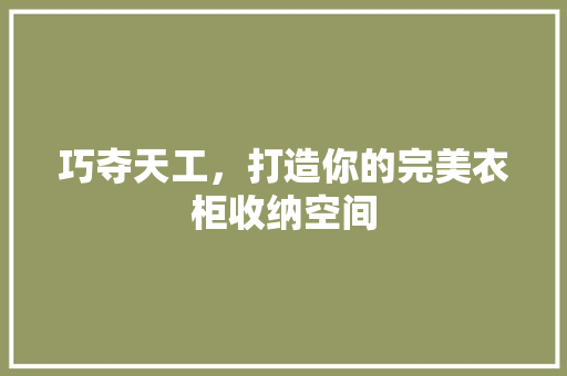 巧夺天工，打造你的完美衣柜收纳空间 中式风格装饰