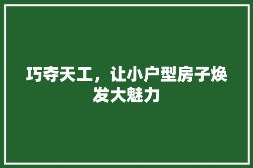 巧夺天工，让小户型房子焕发大魅力 中式风格装饰