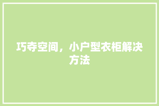 巧夺空间，小户型衣柜解决方法 中式风格装饰