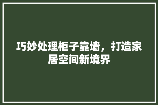 巧妙处理柜子靠墙，打造家居空间新境界 中式风格装饰