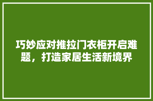 巧妙应对推拉门衣柜开启难题，打造家居生活新境界 中式风格装饰