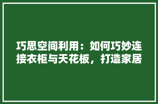 巧思空间利用：如何巧妙连接衣柜与天花板，打造家居美学新境界 中式风格装饰