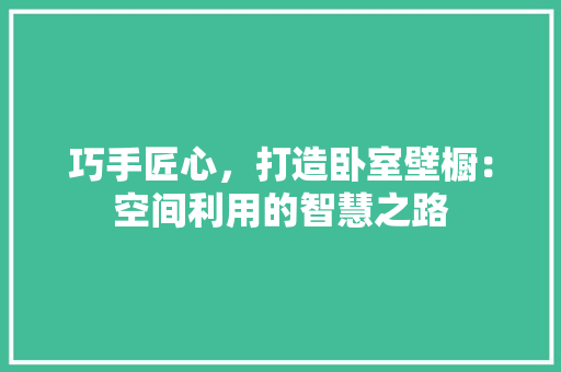 巧手匠心，打造卧室壁橱：空间利用的智慧之路