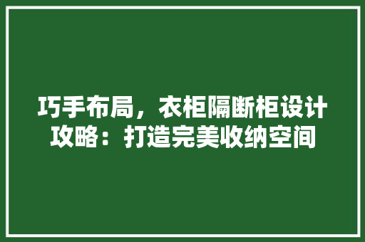巧手布局，衣柜隔断柜设计攻略：打造完美收纳空间 中式风格装饰