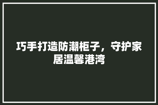 巧手打造防潮柜子，守护家居温馨港湾 中式风格装饰