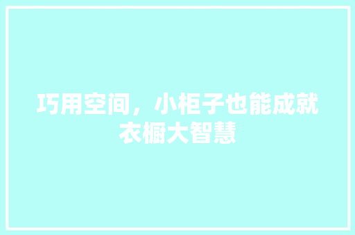巧用空间，小柜子也能成就衣橱大智慧 中式风格装饰