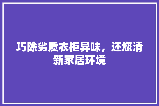 巧除劣质衣柜异味，还您清新家居环境 中式风格装饰