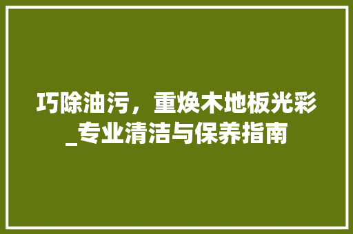 巧除油污，重焕木地板光彩_专业清洁与保养指南 中式风格装饰