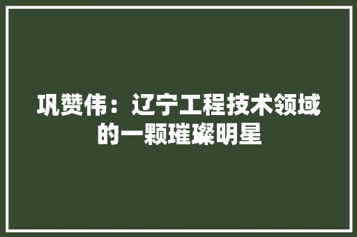 巩赞伟：辽宁工程技术领域的一颗璀璨明星