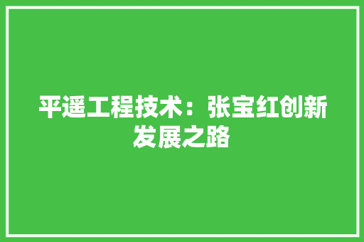 平遥工程技术：张宝红创新发展之路