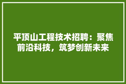 平顶山工程技术招聘：聚焦前沿科技，筑梦创新未来 中式风格装饰