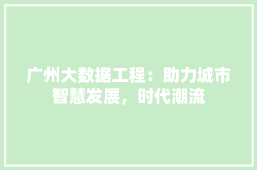 广州大数据工程：助力城市智慧发展，时代潮流