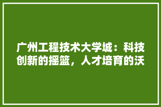 广州工程技术大学城：科技创新的摇篮，人才培育的沃土