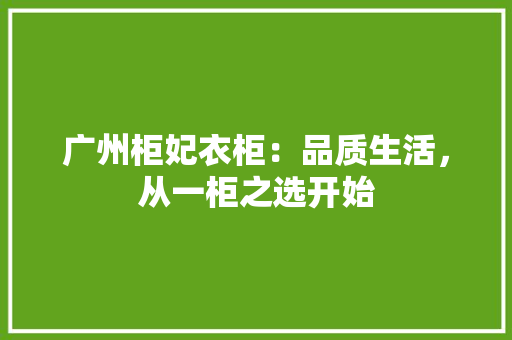 广州柜妃衣柜：品质生活，从一柜之选开始 中式风格装饰