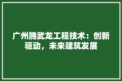 广州腾武龙工程技术：创新驱动，未来建筑发展 中式风格装饰