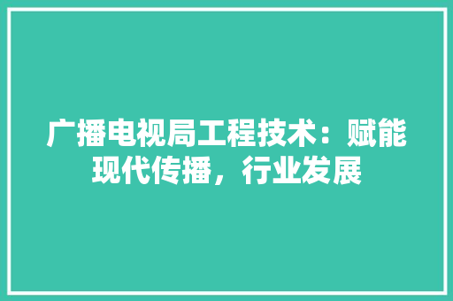 广播电视局工程技术：赋能现代传播，行业发展 中式风格装饰