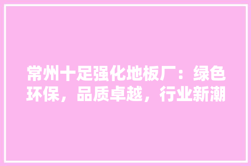 常州十足强化地板厂：绿色环保，品质卓越，行业新潮流 中式风格装饰
