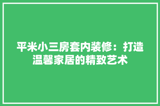 平米小三房套内装修：打造温馨家居的精致艺术