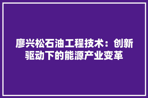 廖兴松石油工程技术：创新驱动下的能源产业变革 中式风格装饰