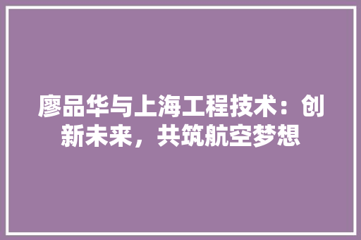 廖品华与上海工程技术：创新未来，共筑航空梦想 中式风格装饰