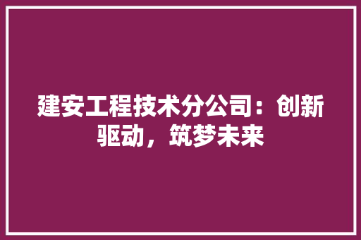 建安工程技术分公司：创新驱动，筑梦未来