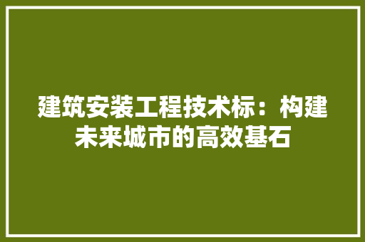 建筑安装工程技术标：构建未来城市的高效基石 中式风格装饰