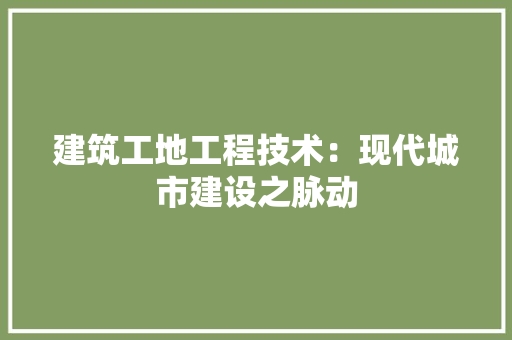 建筑工地工程技术：现代城市建设之脉动 中式风格装饰