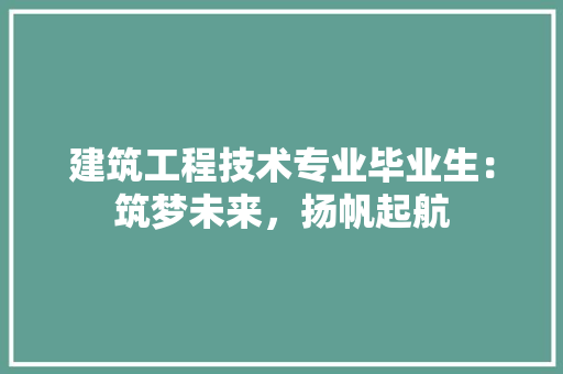建筑工程技术专业毕业生：筑梦未来，扬帆起航 中式风格装饰