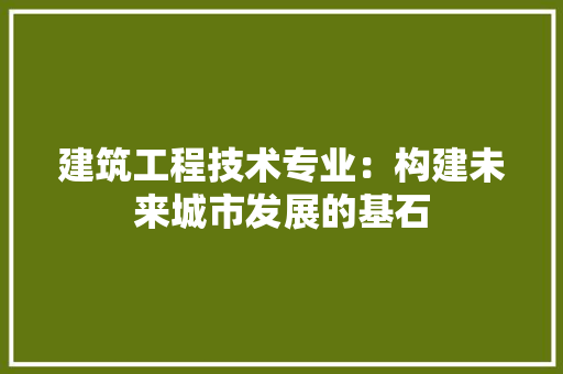 建筑工程技术专业：构建未来城市发展的基石 中式风格装饰