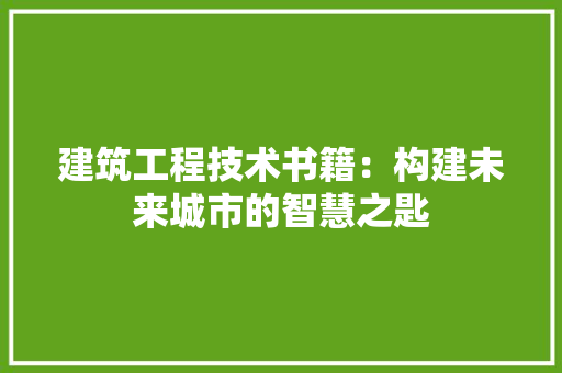 建筑工程技术书籍：构建未来城市的智慧之匙 中式风格装饰