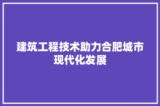 建筑工程技术助力合肥城市现代化发展 中式风格装饰