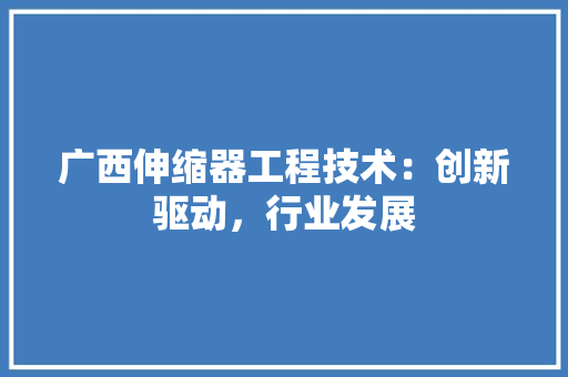 广西伸缩器工程技术：创新驱动，行业发展 中式风格装饰