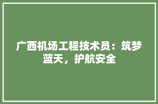 广西机场工程技术员：筑梦蓝天，护航安全 中式风格装饰