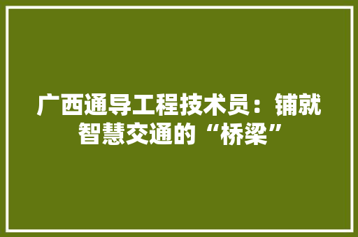 广西通导工程技术员：铺就智慧交通的“桥梁” 中式风格装饰