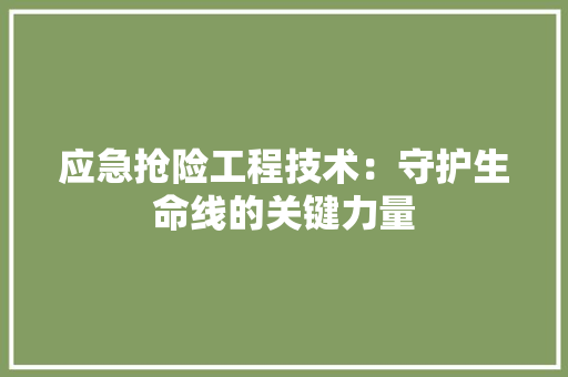 应急抢险工程技术：守护生命线的关键力量 中式风格装饰