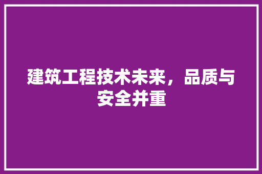 建筑工程技术未来，品质与安全并重 中式风格装饰