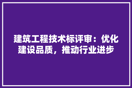 建筑工程技术标评审：优化建设品质，推动行业进步 中式风格装饰